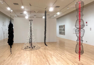 Of Rope and Chain her Bones are Made installation view, Bakersfield Museum of Art