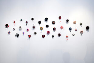 Anemones installation view