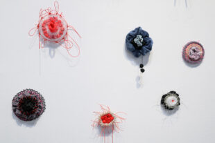 Anemones (detail)